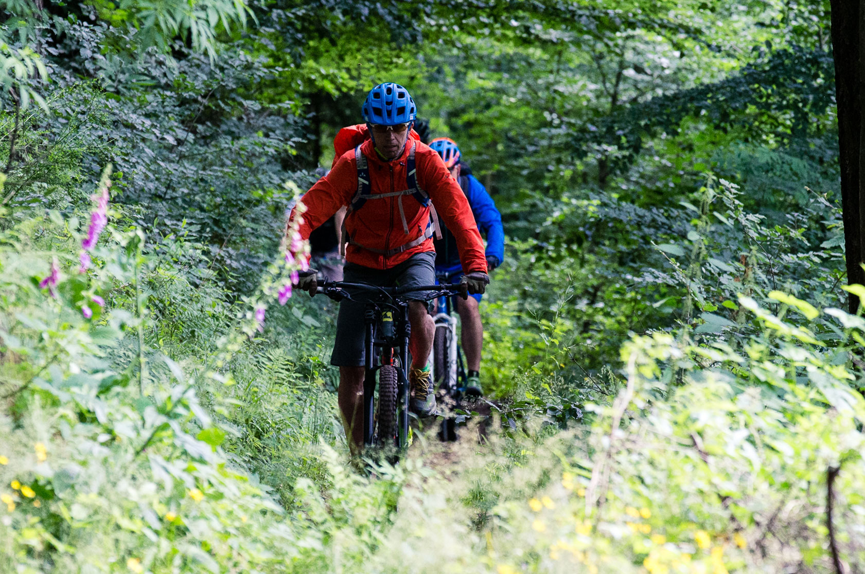 E-Biking-Verleih im Odenwald für Teams, Firmen und Privatpersonen